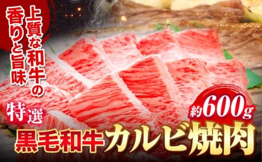 黒毛和牛 特選 カルビ 焼肉 約600g《30日以内に出荷予定(土日祝除く)》大阪府 羽曳野市 送料無料 牛肉 牛 和牛 焼き肉用 焼き肉---habikino_msa_10_1--- (管理コード:habikino_msa_10_1)