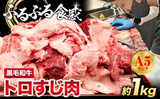 黒毛和牛 トロすじ肉 約1kg 株式会社Demi Enterprise《30日以内に出荷予定(土日祝除く)》大阪府 羽曳野市 送料無料 牛肉 牛 和牛 牛すじ肉 牛すじ 煮込み料理 おでん カレー---habikino_kde_4_1--- (管理コード:habikino_kde_4_1)