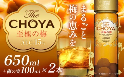 The CHOYA 至極の梅 650ml × 2本 羽曳野商工振興株式会社《30日以内に出荷予定(土日祝除く)》大阪府 羽曳野市 送料無料 梅酒 梅 酒 CHOYA チョーヤ チョーヤ梅酒 お酒 紀州 南高梅---habikino_hss_14_1--- (管理コード:habikino_hss_14_1)