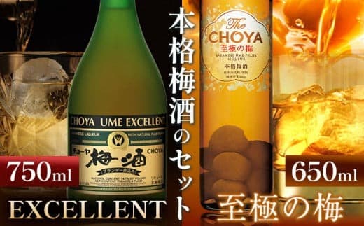 THE CHOYA 至極の梅 650ml EXCELLENT エクセレント 750ml 計2本 セット 飲み比べ 羽曳野商工振興株式会社《30日以内に出荷予定(土日祝除く)》大阪府 羽曳野市 送料無料 梅酒 梅 酒 CHOYA チョーヤ チョーヤ梅酒 お酒 紀州 南高梅---habikino_hss_22_1--- (管理コード:habikino_hss_22_1)