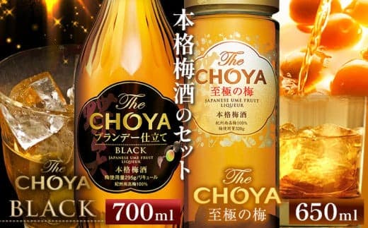 The CHOYA BLACK 700ml The CHOYA 至極の梅 650ml 計2本 セット 飲み比べ 羽曳野商工振興株式会社《30日以内に出荷予定(土日祝除く)》大阪府 羽曳野市 送料無料 梅酒 梅 酒 CHOYA チョーヤ チョーヤ梅酒 お酒 紀州 南高梅 black---habikino_hss_8_1--- (管理コード:habikino_hss_8_1)