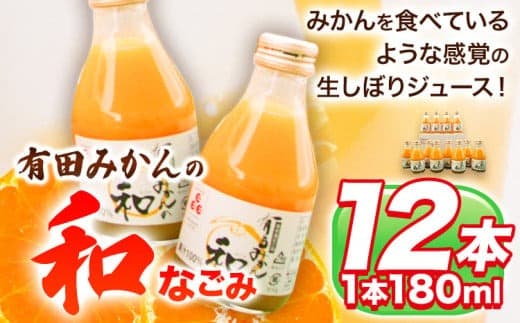 有田みかんの和 なごみ 180ml×12本入 果樹園紀の国株式会社《90日以内に出荷予定(土日祝除く)》 和歌山県 日高町 オレンジジュース みかんジュース 有田みかん100%使用 柑橘【配送不可地域あり】---wsh_knk3_90d_26_14000_12p--- (管理コード:wsh_knk3_90d_26_14000_12p)