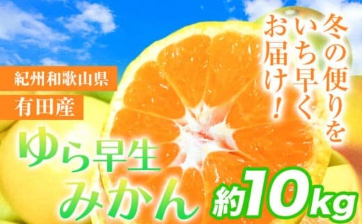 【果物・フルーツ特集】みかん 先行予約 紀州和歌山有田産 ゆら早生みかん 約 10kg 株式会社魚鶴商店《2026年10月中旬-11月上旬頃出荷》 和歌山県 日高町 みかん 早生 柑橘---wsh_utsywm_10c11j_25_17000_10kg--- (管理コード:wsh_utsywm_10c11j_25_17000_10kg)