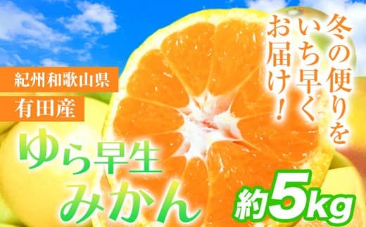 【果物・フルーツ特集】みかん 先行予約 紀州和歌山有田産 ゆら早生みかん 約5kg 株式会社魚鶴商店《2026年10月下旬-11月上旬頃出荷》 和歌山県 日高町 みかん 早生 柑橘---wsh_utsywm_10g11j_25_13000_5kg--- (管理コード:wsh_utsywm_10g11j_25_13000_5kg)