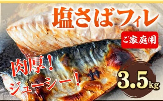 ご家庭用 塩さばフィレ 3.5kg 株式会社魚鶴商店 《30日以内に出荷予定(土日祝除く)》 さば 塩サバ 鯖 魚 焼き魚 冷凍 さかな さばフィレ---wsh_fuot81_30d_25_31000_3500g--- (管理コード:wsh_fuot81_30d_25_31000_3500g)