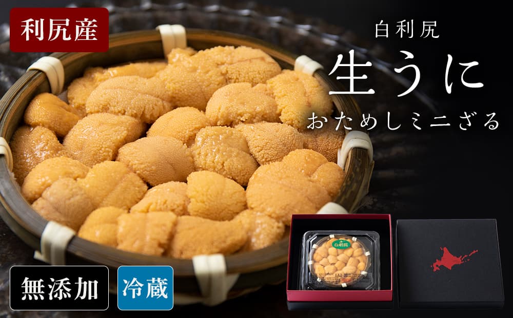 【2026年6月より発送】白利尻 生うに お試しミニざる ムラサキウ二 60g 海鮮 海産物 魚介類 うに 冷蔵(管理コード:BR159)