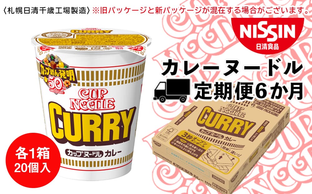 【定期便6か月】日清 カレーヌ-ドル★1箱(20食入)(管理コード:CQ078)
