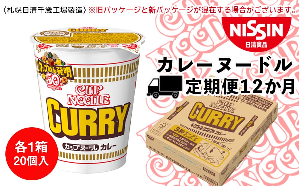 【定期便12か月】日清 カレーヌ-ドル★1箱(20食入)(管理コード:CQ079)