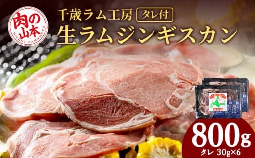 千歳ラム工房 生ラムジンギスカン 800gたれ付き ラム肉 羊肉 北海道 ≪肉の山本≫ (管理コード:AD187)