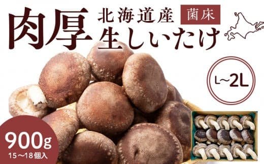 菌床 生しいたけ 900g 大きい 肉厚 シイタケ 椎茸 生椎茸 生シイタケ 千歳 北海道 《 あしだファーム 》 (管理コード:DA001)