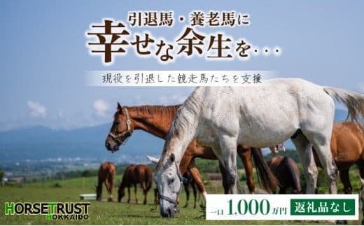 【引退競走馬 余生支援】北海道 岩内町 ホーストラスト北海道支援 1000万円コース 引退馬 F21H-411 (管理コード:003-a011)