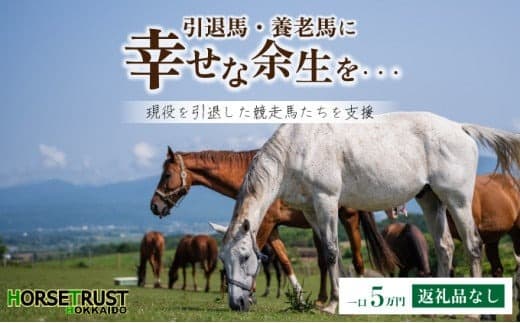 【引退競走馬 余生支援】北海道 岩内町 ホーストラスト北海道支援 5万円コース 引退馬 F21H-558 (管理コード:003-a005)