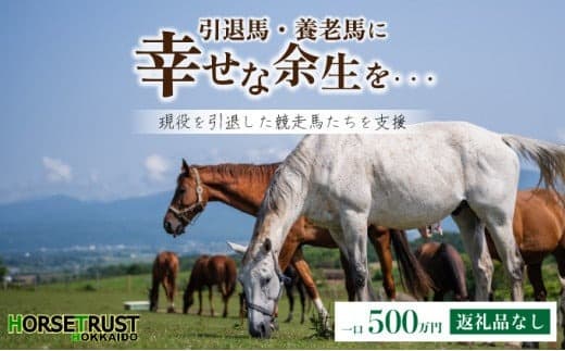 【引退競走馬 余生支援】北海道 岩内町 ホーストラスト北海道支援 500万円コース 引退馬 F21H-571 (管理コード:003-a010)