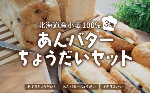 あんバターちょうだいセット 北海道産 小麦 100% パン 詰め合わせ 小豆  F21H-538 (管理コード:011-a005)