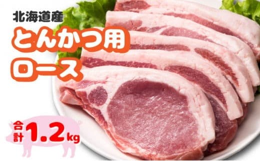 北海道産豚肉・とんかつ用ロース1.2kg(120g×10枚) F21H-429 (管理コード:026-a002)