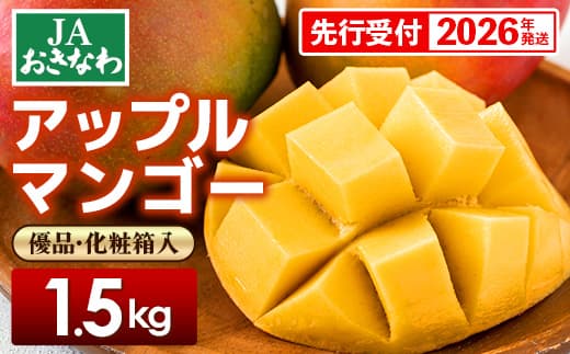 【化粧箱入】【先行受付・2026年発送】JAおきなわの産直アップルマンゴー 約1.5kg【優品】- 先行予約 沖縄 産地直送 南国フルーツ 旬の味覚 贈り物 ギフト オススメ 沖縄県 八重瀬町