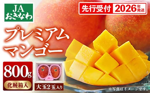 【化粧箱入】【先行受付・2026年発送】JAおきなわプレミアムマンゴー 約800g【大玉2玉】- 先行予約 沖縄 産地直送 季節の果物 旬の味覚 アップルマンゴー 贈り物 プレゼント ギフト 沖縄県 八重瀬町