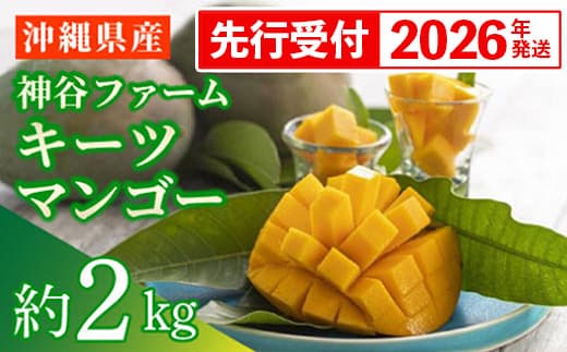 【先行受付】【2026年発送】神谷ファームのキーツマンゴー 約2kg - 先行予約 沖縄県産 産地直送 南国フルーツ 旬の味覚 季節の果物 希少種 贈り物 ギフト 沖縄県 八重瀬町(管理コード:m/kamiya010)