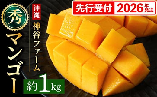 【化粧箱入】【先行受付・2026年発送】神谷ファームのマンゴー(秀)約1Kg - 先行予約 沖縄県産 産地直送 南国フルーツ 旬の味覚 季節の果物 贈り物 ギフト 沖縄県 八重瀬町