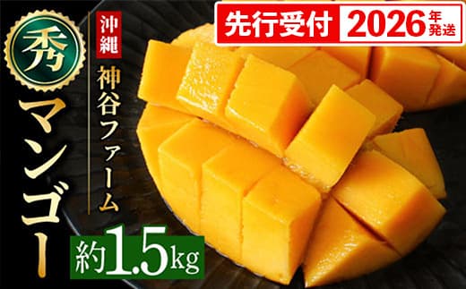 【化粧箱入】【先行受付・2026年発送】神谷ファームのマンゴー(秀)約1.5Kg - 先行予約 沖縄県産 産地直送 南国フルーツ 旬の味覚 季節の果物 贈り物 ギフト 沖縄県 八重瀬町 (管理コード:m/kamiya002)