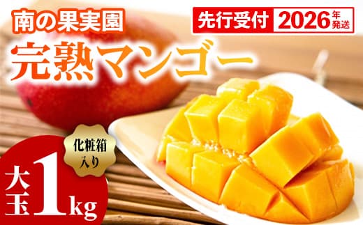 【化粧箱入】【先行受付・2026年発送】南の果実園 完熟マンゴー 大玉 1kg(2玉)〈贈答用化粧箱入り〉- 先行予約 沖縄県産 産地直送 アップルマンゴー 旬の味覚 季節の果物 贈り物 ギフト 沖縄県 八重瀬町 (管理コード:SF2024006)