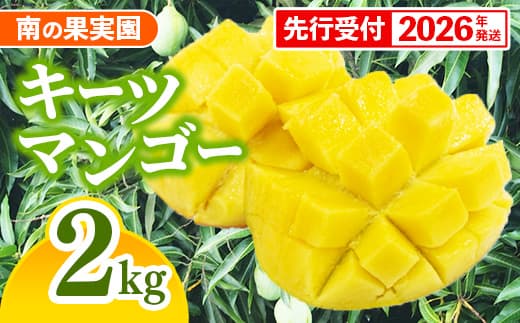 【先行受付】【2026年発送】南の果実園 キーツマンゴー 2kg(2~4玉)- 先行予約 沖縄 産地直送 南国フルーツ 旬の味覚 沖縄県産 国産マンゴー 希少種 季節の果物 沖縄県 八重瀬町(管理コード:SF2023005)