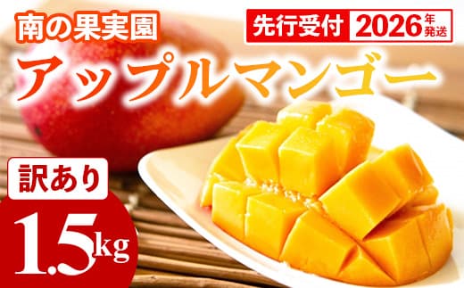 【先行受付】【2026年発送】南の果実園 アップルマンゴー 訳あり品 1.5kg(3~7玉)- 先行予約 沖縄県産 産地直送 南国フルーツ 旬の味覚 季節の果物 ご自宅用 家庭用 沖縄県 八重瀬町 (管理コード:SF2024001)