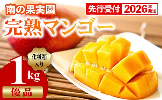 【化粧箱入】【先行受付・2026年発送】南の果実園 完熟マンゴー 優品 1kg(2~3玉)- 先行予約 沖縄県産 産地直送 アップルマンゴー 旬の味覚 季節の果物 贈り物 ギフト 沖縄県 八重瀬町(管理コード:SF2024002)