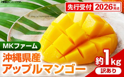 【先行受付】【2026年発送】MKファームの訳ありアップルマンゴー約1kg【訳あり】- 訳アリ 先行予約 家庭用 ご自宅用 沖縄県産 産地直送 南国フルーツ 旬の味覚 アップルマンゴー オススメ 沖縄県 八重瀬町