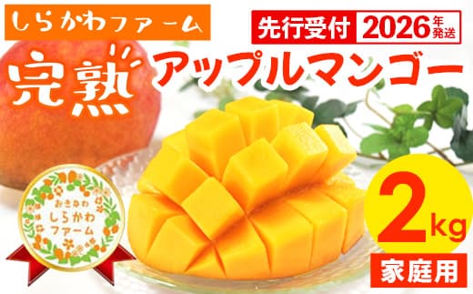 【先行受付】【2026年発送】しらかわファームの家庭用アップルマンゴー約2kg - 先行予約 沖縄県産 産地直送 南国フルーツ 旬の味覚 季節の果物 ご自宅用 家庭用 沖縄県 八重瀬町
