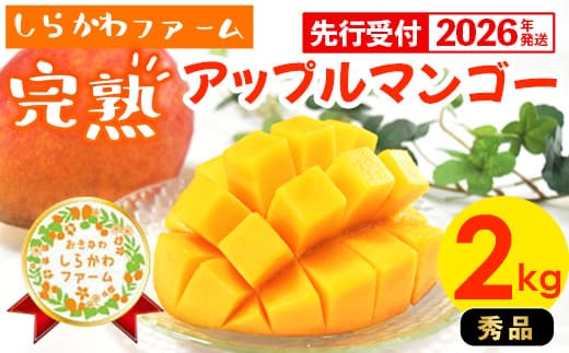 【先行受付】【2026年発送】しらかわファームのアップルマンゴー 秀 約2kg - 先行予約 沖縄 産地直送 南国フルーツ 旬の味覚 旬のフルーツ 贈り物 ギフト 沖縄県 八重瀬町