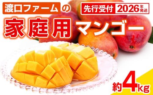【先行受付】【2026年発送】渡口ファームの家庭用マンゴー約4kg - 先行予約 沖縄 産地直送 南国フルーツ 旬の味覚 家庭用 ご自宅用 大容量 4キロ オススメ 沖縄県 八重瀬町(管理コード:m/toguchi004)