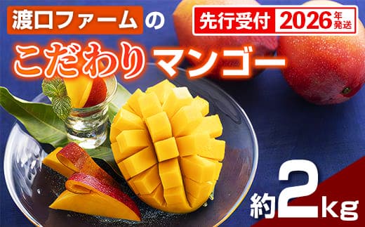 【化粧箱入】【先行受付・2026年発送】渡口ファームの こだわりマンゴー 約2kg - 先行予約 沖縄県産 産地直送 南国フルーツ 旬の味覚 季節の果物 贈り物 ギフト 沖縄県 八重瀬町(管理コード:m/toguchi002)
