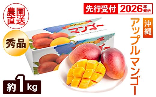 【化粧箱入】【先行受付・2026年発送】ヤマト農園 アップルマンゴー約1kg(秀品)- 先行予約 沖縄県産 産地直送 南国フルーツ 旬の味覚 季節の果物 贈り物 ギフト 沖縄県 八重瀬町
