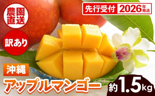 【先行受付】【2026年発送】ヤマト農園 アップルマンゴー訳あり約1.5kg(3~6玉)- 先行予約 沖縄県産 産地直送 南国フルーツ 旬の味覚 季節の果物 ご自宅用 訳アリ 沖縄マンゴー 沖縄県 八重瀬町