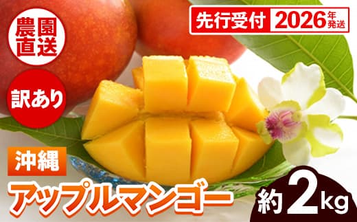 【先行受付】【2026年発送】ヤマト農園 アップルマンゴー訳あり約2kg(4~6玉)- 先行予約 沖縄県産 産地直送 南国フルーツ 旬の味覚 季節の果物 ご自宅用 訳アリ 沖縄マンゴー 沖縄県 八重瀬町