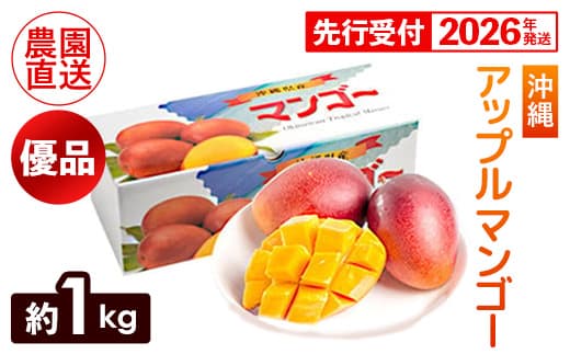 【化粧箱入】【先行受付・2026年発送】ヤマト農園 アップルマンゴー約1kg(優品)- 先行予約 沖縄県産 産地直送 南国フルーツ 旬の味覚 季節の果物 贈り物 ギフト 沖縄県 八重瀬町