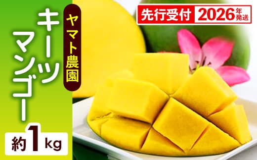 【先行受付】【2026年発送】ヤマト農園 キーツマンゴー約1kg - 産地直送 沖縄産 国産 果物 フルーツ 南国フルーツ 旬の味覚 追熟 先行予約 幻の味 人気 おすすめ 送料無料 沖縄県 八重瀬町
