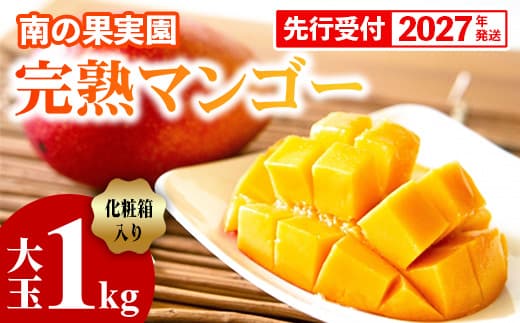 【化粧箱入】【先行受付・2027年発送】南の果実園 完熟マンゴー 大玉 1kg(2玉)〈贈答用化粧箱入り〉- 先行予約 沖縄県産 産地直送 アップルマンゴー 旬の味覚 季節の果物 贈り物 ギフト 沖縄県 八重瀬町 (管理コード:SF2024006)