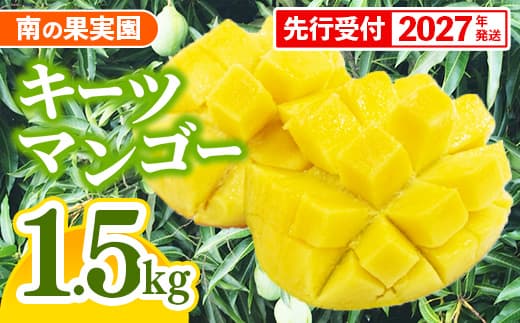 【先行受付】【2027年発送】南の果実園 キーツマンゴー 1.5kg(2玉)- 先行予約 沖縄 産地直送 南国フルーツ 旬の味覚 沖縄県産 国産マンゴー 希少種 季節の果物 沖縄県 八重瀬町(管理コード:SF2024004)