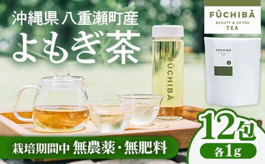 【ポストイン配送】 沖縄県八重瀬町産 よもぎ茶 12包 「FUCHIBA(フーチバー)」 ノンカフェイン 手摘み 栽培期間中無農薬 無肥料 / 布都天堂