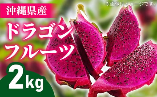 【2026年発送】熱帯果樹生産組合の完熟ドラゴンフルーツ 【レッドドラゴンフルーツ】 約2kg(3~7玉)- 赤 果肉 レッド ピタヤ スーパーフルーツ 先行受付 先行予約 人気 抗酸化作用 ベタシアニン おすすめ 国産 沖縄県 八重瀬町