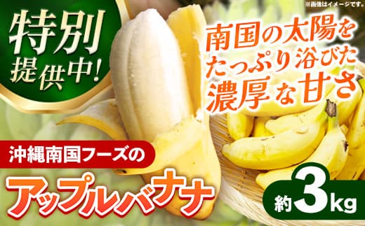【特別提供中】 国産 希少種!南国フーズのアップルバナナ 約3kg - バナナ ばなな 小ぶり 沖縄県 産地直送 果物 フルーツ 南国 朝食 おすすめ 沖縄県 八重瀬町【価格改定】