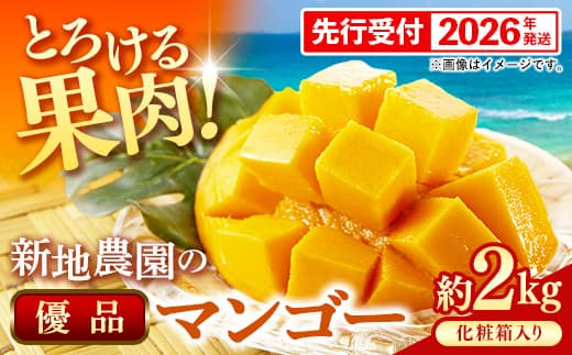 【化粧箱入り】【先行受付・2026年発送】新地農園 アップルマンゴー 優品 約2kg (4~6玉)- 産地直送 先行予約 沖縄県産 贈り物 ギフト 南国フルーツ 旬の味覚 オススメ 沖縄県 八重瀬町