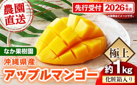 【化粧箱入り】【先行受付・2026年発送】なか果樹園 アップルマンゴー 極上 約1kg - 産地直送 先行予約 沖縄県産 贈り物 ギフト プレゼント 南国フルーツ 旬の味覚 オススメ 沖縄県 八重瀬町