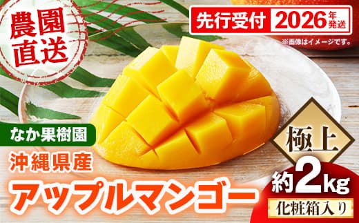 【化粧箱入り】【先行受付・2026年発送】なか果樹園 アップルマンゴー 極上 約2kg - 産地直送 先行予約 沖縄県産 贈り物 ギフト プレゼント 南国フルーツ 旬の味覚 オススメ 沖縄県 八重瀬町