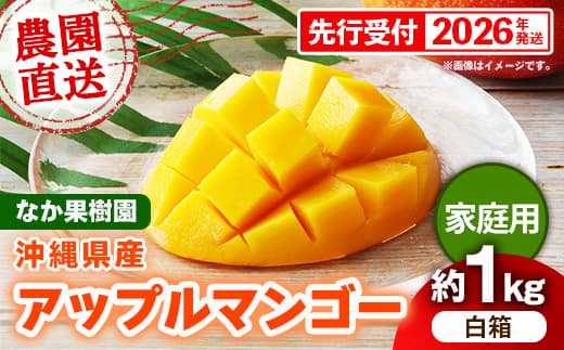 【先行受付】【2026年発送】なか果樹園 アップルマンゴー 家庭用 約1kg (白箱)- 産地直送 先行予約 沖縄県産 ご自宅用 南国フルーツ 旬の味覚 オススメ 沖縄県 八重瀬町