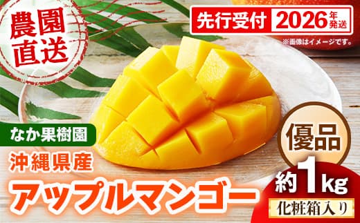 【化粧箱入り】【先行受付・2026年発送】なか果樹園 アップルマンゴー 優品 約1kg - 産地直送 先行予約 沖縄県産 贈り物 ギフト プレゼント 南国フルーツ 旬の味覚 オススメ 沖縄県 八重瀬町