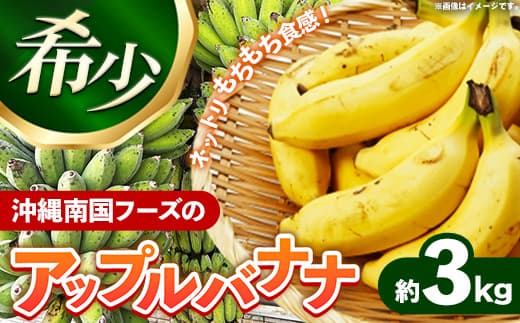 国産 希少種!南国フーズのアップルバナナ 約3kg - バナナ ばなな 小ぶり 沖縄県 産地直送 果物 フルーツ 南国 朝食 おすすめ 沖縄県 八重瀬町