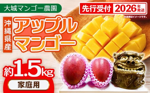 【先行受付】【2026年発送】大城マンゴー農園 マンゴー 家庭用 約1.5kg - 先行予約 アップルマンゴー 沖縄 産地直送 南国フルーツ 旬の味覚 ご自宅用 オススメ 沖縄県 八重瀬町